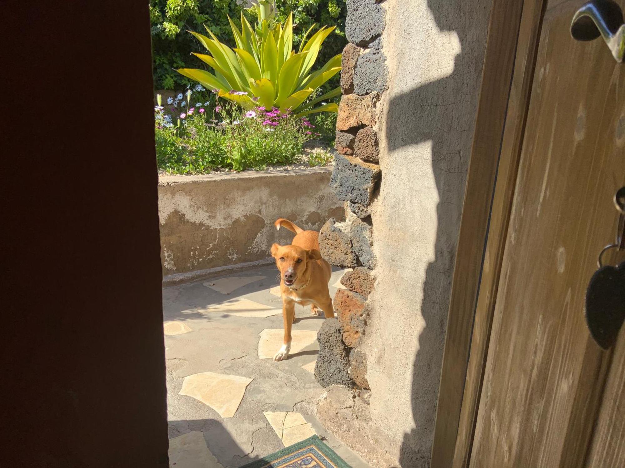 Casas Alberto Teleworking (Adults Only) Сан Мигель Экстерьер фото